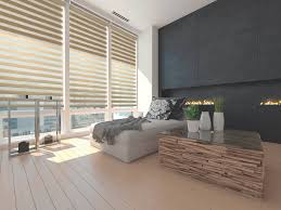 Zebra Blinds - Graceful Stripes